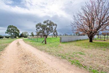 Farm Sold - NSW - Dubbo - 2830 - Escape To The Country !  (Image 2)