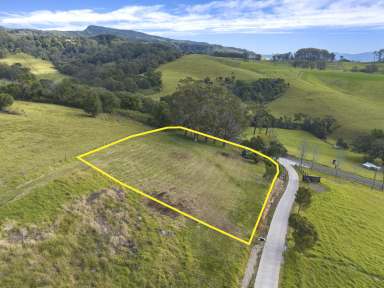 Farm Sold - NSW - Jerrara - 2533 - 'Valley View' Jerrara  (Image 2)