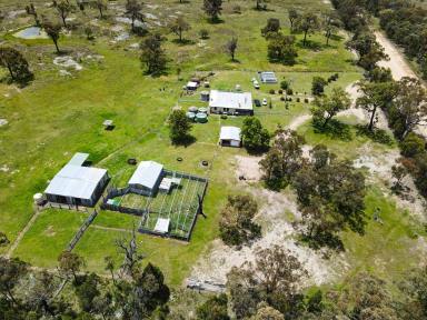 Farm Sold - NSW - Inverell - 2360 - Lifestyle Bush Living Vendor Ready To Go  (Image 2)