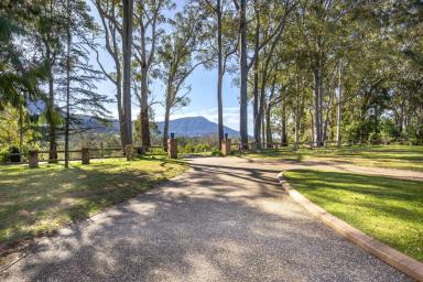Farm Sold - NSW - Tapitallee - 2540 - Make Tapitallee Your Home!  (Image 2)