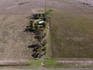 Farm Sold - QLD - Dalby - 4405 - AWESOME QUEENSLANDER HOME ON 96 ACRES. EXCELLENT RURAL & BUNYA MOUNTAIN VIEWS  (Image 2)