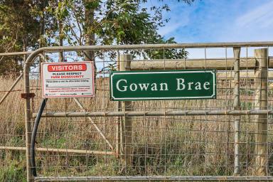 Farm Sold - VIC - Heywood - 3304 - ‘Gowan Brae’  (Image 2)