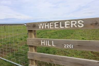 Farm Sold - VIC - Heywood - 3304 - ‘Wheelers Hill’  (Image 2)