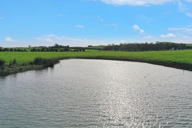 Farm Sold - VIC - Heywood - 3304 - ‘Fred’s’  (Image 2)