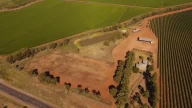 Farm Sold - NSW - Hanwood - 2680 - GREAT LOCATION, GENEROUS HOLDING WITH A YOUNG VINEYARD & BROAD ACRE CROPPING  (Image 2)