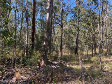 Farm Sold - NSW - Drake - 2469 - Excellent Bush Block  (Image 2)