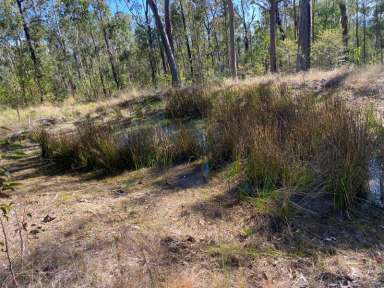 Farm Sold - NSW - Drake - 2469 - Excellent Bush Block  (Image 2)