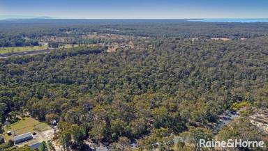 Farm For Sale - NSW - Tomerong - 2540 - 11.5 acre dream property awaits!  (Image 2)