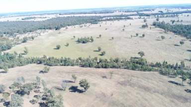 Farm Sold - NSW - Gilgandra - 2827 - Your Country Getaway Awaits !  (Image 2)