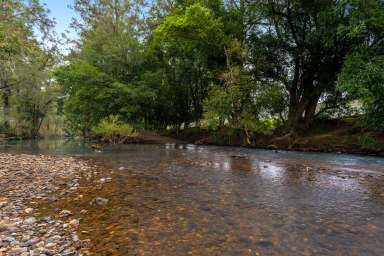 Farm Sold - NSW - Wingham - 2429 - Once In A Lifetime Listing - First Time Offered In 70 Years!  (Image 2)