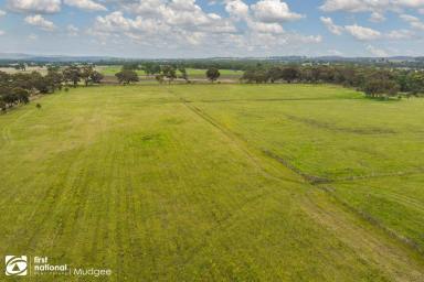 Farm Sold - NSW - Mudgee - 2850 - 40 GOOD ACRES  (Image 2)