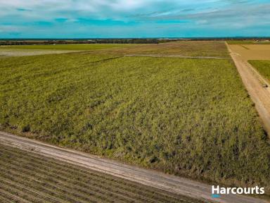 Farm For Sale - QLD - Meadowvale - 4670 - 177 ACRE CULTIVATED FARM - 239 Mg Water Allocation  (Image 2)