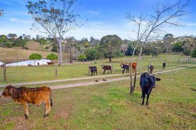 Farm Sold - QLD - Chatsworth - 4570 - PRIME ACREAGE CLOSE TO GYMPIE  (Image 2)