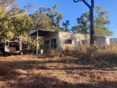 Farm Sold - QLD - Bambaroo - 4850 - RURAL ACREAGE WITH SHED & RAINWATER TANK BETWEEN INGHAM & TOWNSVILLE!  (Image 2)