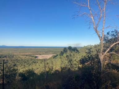 Farm Sold - QLD - Bambaroo - 4850 - RURAL ACREAGE WITH SHED & RAINWATER TANK BETWEEN INGHAM & TOWNSVILLE!  (Image 2)