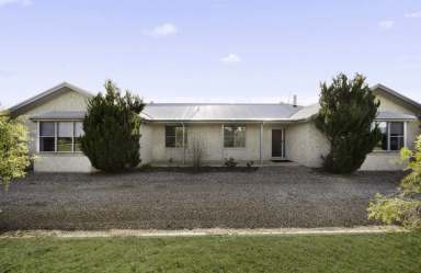 Farm Sold - NSW - Mudgee - 2850 - WONDERFUL LIFESTYLE, WINNING LOCATION!  (Image 2)