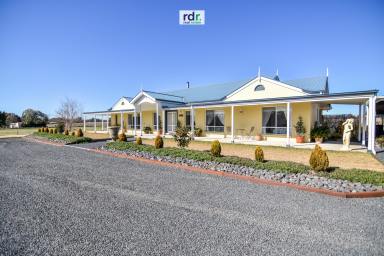 Farm Sold - NSW - Inverell - 2360 - "BLUE STONE COTTAGE"  (Image 2)