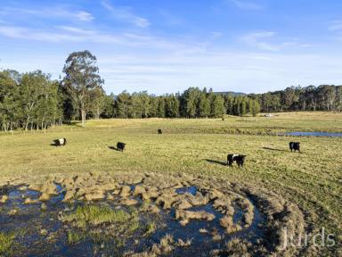 Farm Sold - NSW - Quorrobolong - 2325 - KIAMBI OAKS  (Image 2)