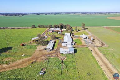 Farm Sold - VIC - Wyuna - 3620 - Premium living, excellent soils and shedding  (Image 2)