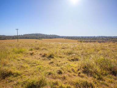 Farm Sold - QLD - Tiaro - 4650 - Mary River Cattle Country 3 Titles 646 Acres  (Image 2)