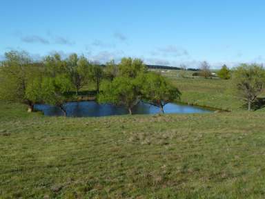 Farm Sold - NSW - Goulburn - 2580 - Lifestyle Heaven  (Image 2)