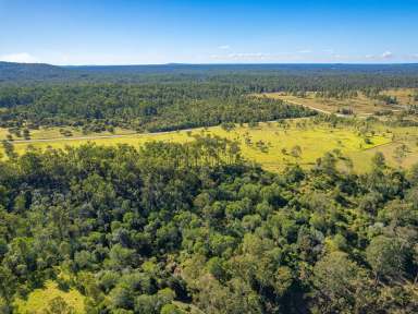 Farm Sold - QLD - Tiaro - 4650 - Lots 10 Jessens Road accessed via Baupleview Road.  (Image 2)