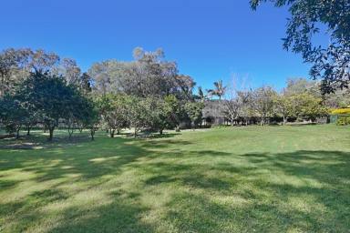 Farm Sold - QLD - Samford Valley - 4520 - Privacy Abounds in Samford Valley!  (Image 2)