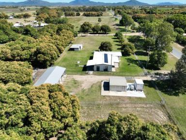 Farm Sold - QLD - Bowen - 4805 - Peace, Quiet Plus a Little Acreage Thrown In  (Image 2)