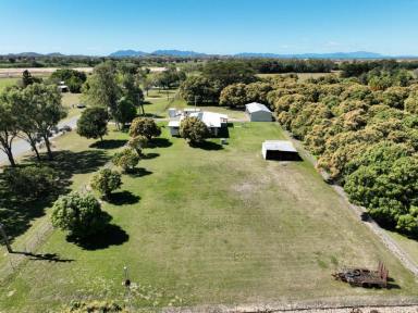 Farm Sold - QLD - Bowen - 4805 - Peace, Quiet Plus a Little Acreage Thrown In  (Image 2)