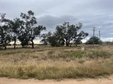 Farm For Sale - NSW - Walgett - 2832 - Vacant Land close to town  (Image 2)