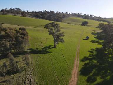 Farm Sold - SA - Bangor - 5481 - “Premium Mixed Farming Opportunity”  (Image 2)