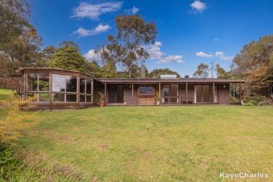 Farm Sold - VIC - Beaconsfield Upper - 3808 - A Classic Creation on Over an Acre  (Image 2)