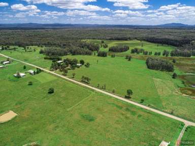 Farm Sold - NSW - Collombatti - 2440 - Set Up Your Dream Hobby Farm  (Image 2)