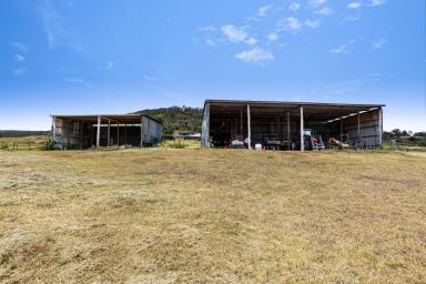 Farm Sold - QLD - Hirstglen - 4359 - 861 acres only 40 minutes from the City!  (Image 2)