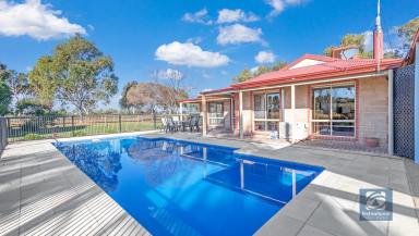 Farm Sold - VIC - Echuca - 3564 - Private/Peaceful lifestyle awaits…  (Image 2)