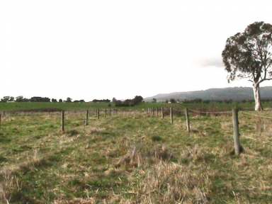 Farm For Sale - VIC - Yinnar - 3869 - 30 ACRES FARMLAND - WITH AGISTMENT BUSINESS-INVESTMENT OPPORTUNITY  (Image 2)