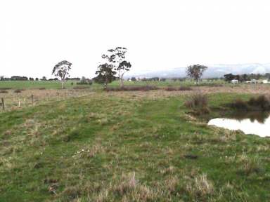 Farm For Sale - VIC - Yinnar - 3869 - 30 ACRES FARMLAND - WITH AGISTMENT BUSINES-INVESTMENT OPPORTUNITY  (Image 2)