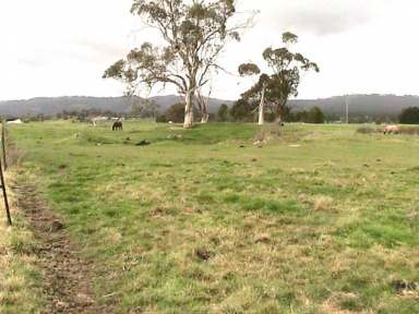 Farm For Sale - VIC - Yinnar - 3869 - 30 ACRES FARMLAND - WITH AGISTMENT BUSINES-INVESTMENT OPPORTUNITY  (Image 2)