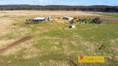 Farm Sold - NSW - Dunedoo - 2844 - FANTASTIC SMALL FARM  (Image 2)