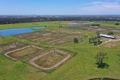 Farm For Sale - NSW - Grafton - 2460 - Sunnybrook - Prime Clarence Riverfront Country  (Image 2)