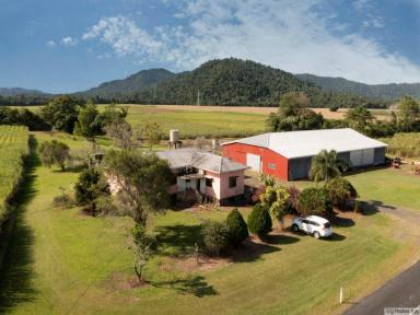 Farm For Sale - QLD - Japoonvale - 4856 - FARMING & LIFESTYLE OPPORTUNITY  (Image 2)
