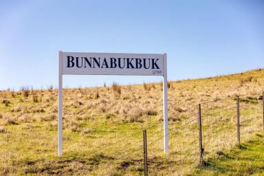 Farm Sold - NSW - Adelong - 2729 - Bunnabukbuk - Well Balanced - Ideal Breeding and Fattening Property  (Image 2)
