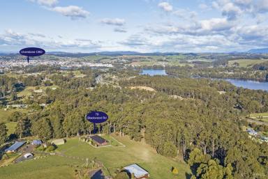 Farm Sold - TAS - West Ulverstone - 7315 - 11 Acres on the edge of town  (Image 2)