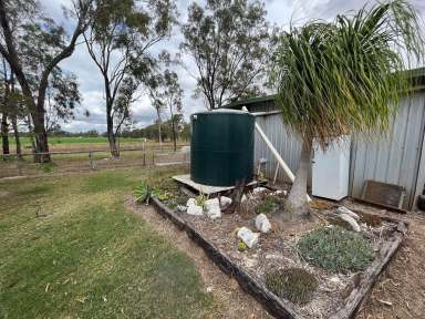 Farm Sold - QLD - Yaamba - 4704 - Country Living!  (Image 2)