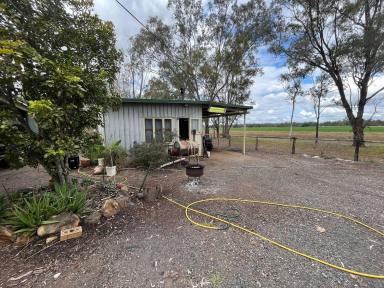 Farm Sold - QLD - Yaamba - 4704 - Country Living!  (Image 2)