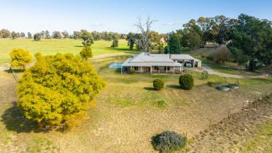 Farm Sold - NSW - Boomanoomana - 2712 - "Womboyne"  (Image 2)