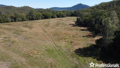 Farm Sold - QLD - Eton - 4741 - 50 Acres… 30 minutes from Mackay  (Image 2)