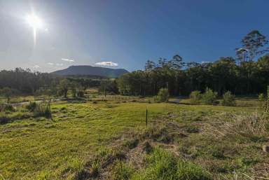 Farm Sold - NSW - Nimbin - 2480 - UNDER OFFER - Create Your Dream, Easy 1.1acre Lifestyle Block!  (Image 2)