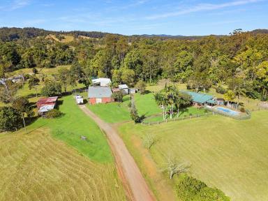 Farm Sold - QLD - Eumundi - 4562 - WHAT WILL YOU PAY????, OFFERS CONSIDERED  (Image 2)