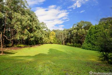 Farm Sold - VIC - Hoddles Creek - 3139 - PEACEFUL HAVEN ON 15 ACRES (APPROX.)  (Image 2)